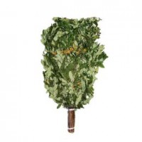 Веник ДВ рябиновый в упаковке